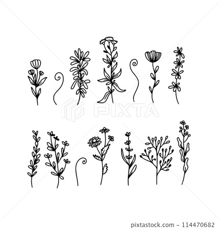 Set of line art wildflowers. Botanical floral illustrations set. 114470682