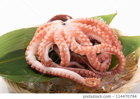 [Miyagi Prefecture] Willow Octopus 114470794