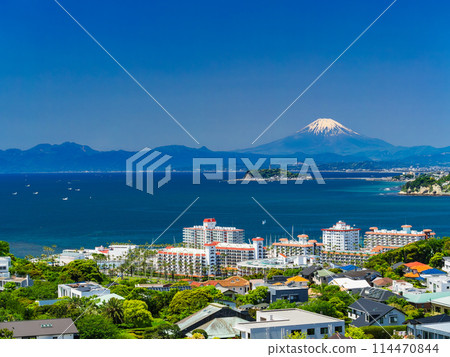 Spring scenery of Mt. Fuji and Shonan Coast 114470844