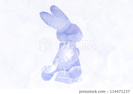 Rabbit and petal letter material Rabbit and petal letter material 114471237