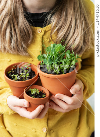 Littlr Girl Holding Three Potted Plants Littlr Girl Holding Three Potted Plants 114471510