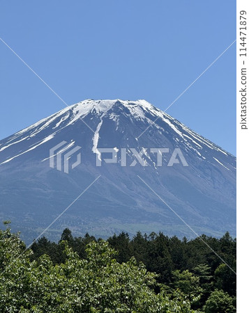 Asagiri Plateau, Mt. Fuji, May Asagiri Plateau, Mt. Fuji, May 114471879
