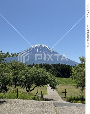 Asagiri Plateau, Mt. Fuji, May Asagiri Plateau, Mt. Fuji, May 114471880