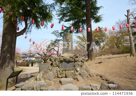 春天Numata公園 春天Numata公園 114471936