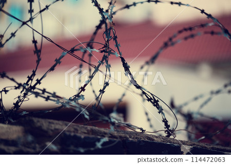 Barbed wire. Barbed wire on a fence as a background 114472063