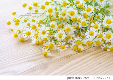 Chamomile bouquet frame on wooden background 114472234