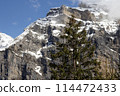 Alpine mountains in Switzerland 114472433