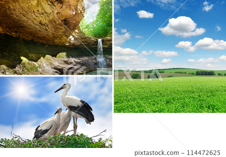 Scenic landscapes and fauna of Moldova. Free space for text. Collage. Scenic landscapes and fauna of Moldova. Free space for text. Collage. 114472625