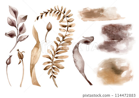 Leaves and branch in monochrome sepia watercolor set. Abstract plants in sienna color isolated on white. Watercolor background. Elements for the design of branding , invitations, printed products Leaves and branch in monochrome sepia watercolor set. Abstract plants in sienna color isolated on white. Watercolor background. Elements for the design of branding , invitations, printed products 114472883