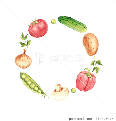 Vegetables Watercolor Wreath, circle round Frame. Botanical vegetable hand drawn watercolor illustration isolated on white background. Can be used for cards, logos and food design. Vintage stile. Vegetables Watercolor Wreath, circle round Frame. Botanical vegetable hand drawn watercolor illustration isolated on white background. Can be used for cards, logos and food design. Vintage stile. 114473047