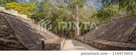 Coba, Mexico. Ancient mayan city in Mexico. Coba is an archaeological area and a famous landmark of Yucatan Peninsula. Cloudy sky over a pyramid in Mexico Coba, Mexico. Ancient mayan city in Mexico. Coba is an archaeological area and a famous landmark of Yucatan Peninsula. Cloudy sky over a pyramid in Mexico 114473603