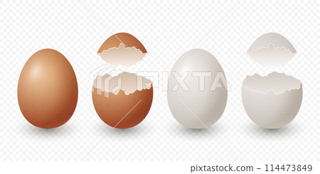 Vector 3d Realistic Brown and White Chicken Eggs. Broken Chicken Egg, Cracked Two Parts, Opened Crack Raw Chicken Egg With Yolk Closeup Isolated. Vector Eggs Isolated. Half Egg in Front View Vector 3d Realistic Brown and White Chicken Eggs. Broken Chicken Egg, Cracked Two Parts, Opened Crack Raw Chicken Egg With Yolk Closeup Isolated. Vector Eggs Isolated. Half Egg in Front View 114473849