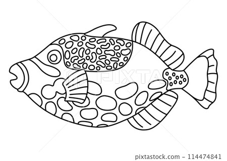 Tropical Fish Hand Drawn line art Coloring page Tropical Fish Hand Drawn line art Coloring page 114474841