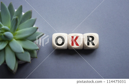 OKR objectives and key results symbol. Wooden cubes with words OKR objectives and key results. Beautiful grey background with succulent plant. Business and OKR concept. Copy space. 114475031