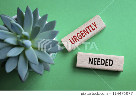 Urgently needed symbol. Concept word Urgently needed on wooden blocks. Beautiful green background with succulent plant. Business and Urgently needed concept. Copy space 114475077