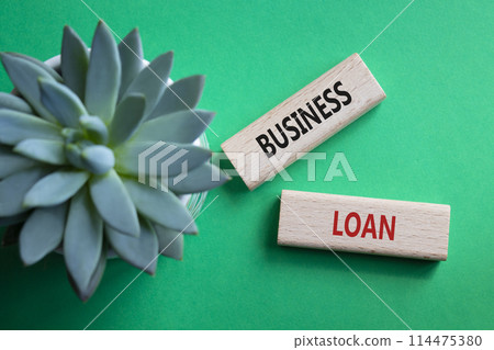 Business loan symbol. Concept words business loan on wooden blocks. Beautiful green background with succulent plant. Business and business loan concept. Copy space. Business loan symbol. Concept words business loan on wooden blocks. Beautiful green background with succulent plant. Business and business loan concept. Copy space. 114475380
