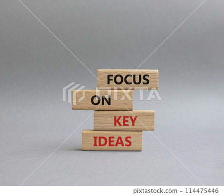 Focus on Key Ideas symbol. Concept words Focus on Key Ideas on wooden blocks. Beautiful grey background. Business and Focus on Key Ideas concept. Copy space 114475446