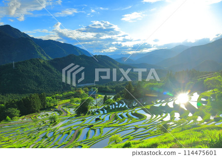 [三重縣] 插秧季節的丸山千枚田 114475601
