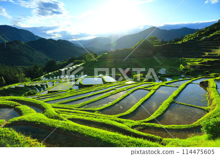 [三重縣] 插秧季節的丸山千枚田 114475605