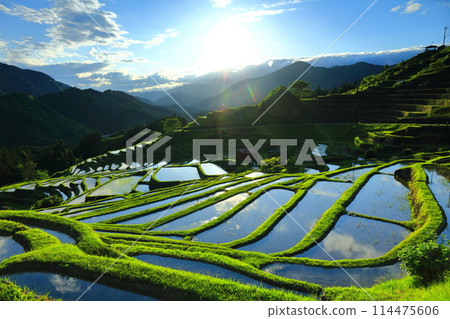 [三重縣] 插秧季節的丸山千枚田 114475606
