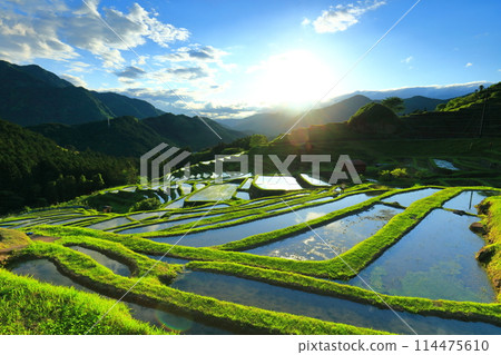 [Mie Prefecture] Maruyama Senmaida rice fields during rice planting season 114475610