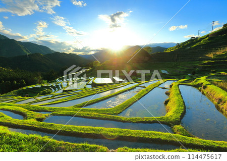 [三重縣] 插秧季節的丸山千枚田 114475617