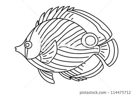 Tropical Fish Hand Drawn line art Coloring page Tropical Fish Hand Drawn line art Coloring page 114475712