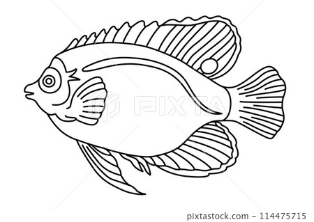 Tropical Fish Hand Drawn line art Coloring page 114475715