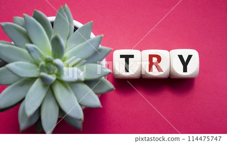 Try symbol. Wooden cubes with word Try. Beautiful red background with succulent plant. Business and Try concept. Copy space. Try symbol. Wooden cubes with word Try. Beautiful red background with succulent plant. Business and Try concept. Copy space. 114475747