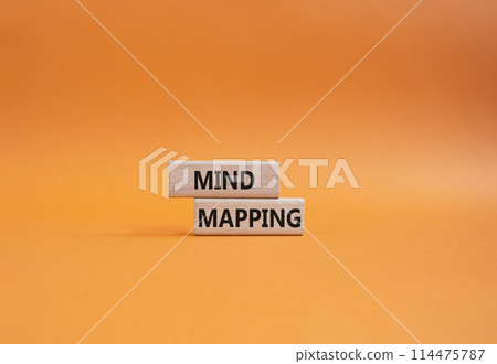 Mind Mapping symbol. Concept word Mind Mapping on wooden blocks. Beautiful orange background. Business and Mind Mapping concept. Copy space 114475787