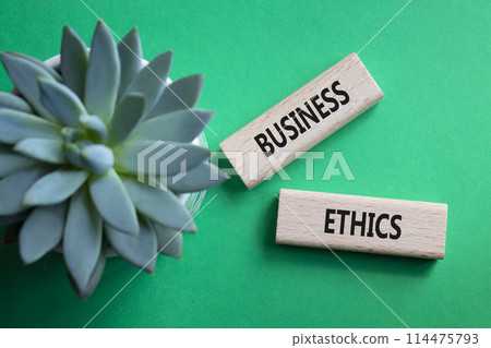 Business ethics symbol. Concept word Business ethics on wooden blocks. Beautiful green background with succulent plant. Business and Business ethics concept. Copy space 114475793