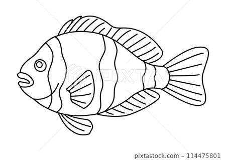 Tropical Fish Hand Drawn line art Coloring page Tropical Fish Hand Drawn line art Coloring page 114475801