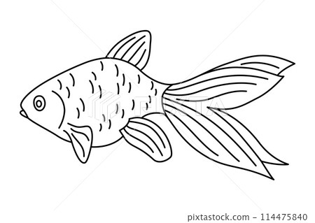 Tropical Fish Hand Drawn line art Coloring page 114475840