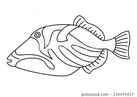 Tropical Fish Hand Drawn line art Coloring page Tropical Fish Hand Drawn line art Coloring page 114475857