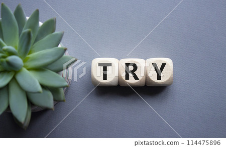 Try symbol. Wooden cubes with word Try. Beautiful grey background with succulent plant. Business and Try concept. Copy space. Try symbol. Wooden cubes with word Try. Beautiful grey background with succulent plant. Business and Try concept. Copy space. 114475896