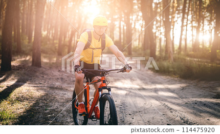 Cyclist riding bicycle along path in sunny pine forest 114475920