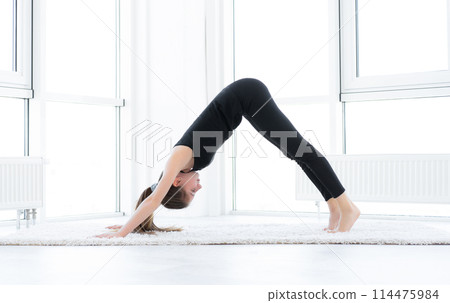 Beautiful girl doing yoga asana in bright room 114475984