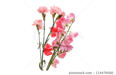 Various flower bouquets Various flower bouquets 114476080