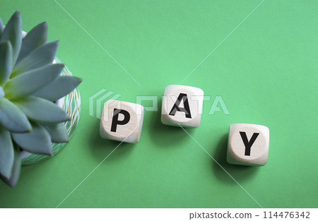 Pay symbol. Wooden cubes with words Pay. Beautiful green background with succulent plant. Business and Pay concept. Copy space. 114476342