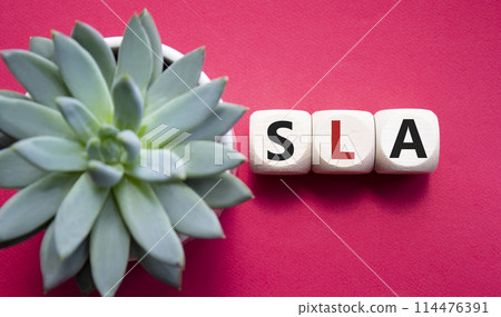 SLA - Service Level Agreement. Wooden cubes with word SLA. Beautiful red background with succulent plant. Business and Service Level Agreement concept. Copy space. 114476391