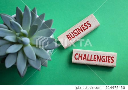 Business challenges symbol. Concept word Business challenges on wooden blocks. Beautiful green background with succulent plant. Business and Business challenges concept. Copy space Business challenges symbol. Concept word Business challenges on wooden blocks. Beautiful green background with succulent plant. Business and Business challenges concept. Copy space 114476430