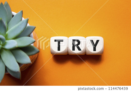 Try symbol. Wooden cubes with word Try. Beautiful orange background with succulent plant. Business and Try concept. Copy space. 114476439