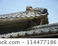 Collapsing roof of an old house 114477186