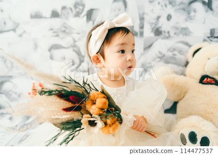 1st Birthday Birthday Photo Baby 114477537