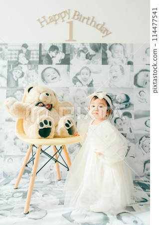 1st Birthday Birthday Photo Baby 114477541