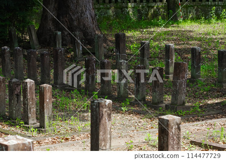 西南叛亂政府軍墳墓(七本本陸軍公墓) 西南叛亂政府軍墳墓(七本本陸軍公墓) 114477729