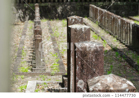 西南叛亂政府軍墳墓（七本本陸軍公墓） 114477730