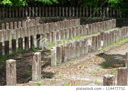 Graves of Imperial Army Soldiers from the Satsuma Rebellion (Seven Imperial Army Cemeteries) Graves of Imperial Army Soldiers from the Satsuma Rebellion (Seven Imperial Army Cemeteries) 114477732