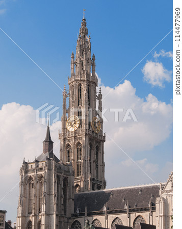 我們的安特衛普夫人 114477969