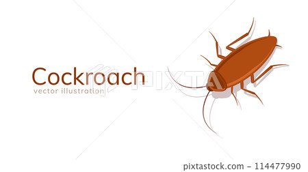Cockroach bug vector icon. Roach silhouette insect black icon illustration pest. Cockroach bug vector icon. Roach silhouette insect black icon illustration pest. 114477990